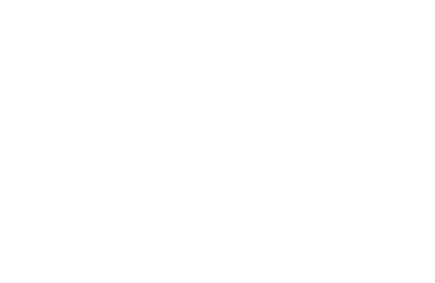 AAA Consulting